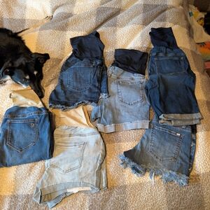Maternity Denim Shorts/Jean Collection